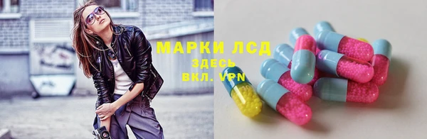 ECSTASY Богданович