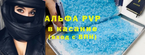ECSTASY Богданович